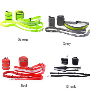 Handsfree Bungee Dog Leash