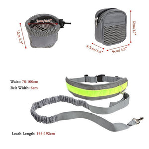 Handsfree Bungee Dog Leash