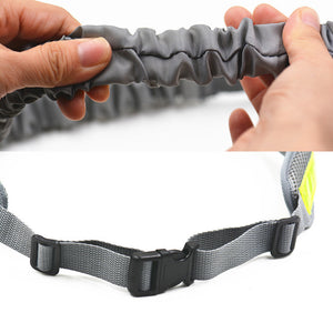 Handsfree Bungee Dog Leash