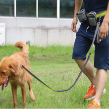 Load image into Gallery viewer, Handsfree Bungee Dog Leash