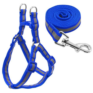 Nylon Reflective Dog Harness Leash Lead Set