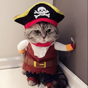 Funny Cat Clothes Pirate Halloween Clothes