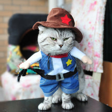 Load image into Gallery viewer, Funny Cat Clothes Pirate Halloween Clothes