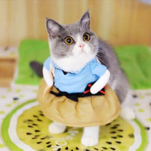 Load image into Gallery viewer, Funny Cat Clothes Pirate Halloween Clothes