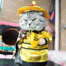 Load image into Gallery viewer, Funny Cat Clothes Pirate Halloween Clothes