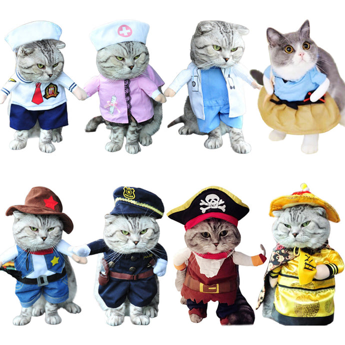 Funny Cat Clothes Pirate Halloween Clothes