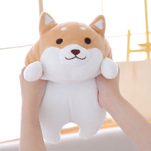 Load image into Gallery viewer, 36/55 DOG PLUSH TOYS