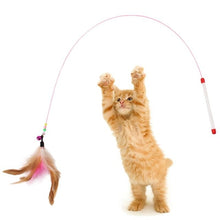 Load image into Gallery viewer, Toys Plastic Funny Pet Interactive Training For Cats-Toy Pet Supplies